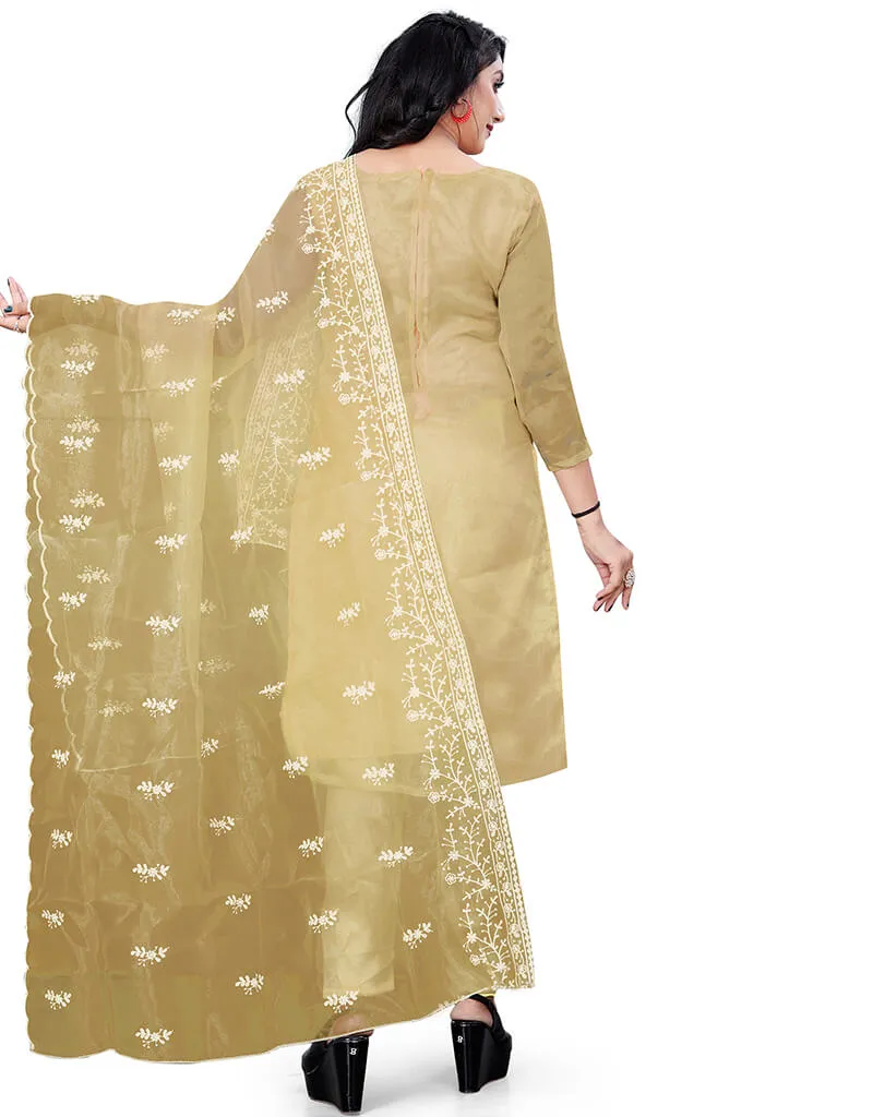 Beige Organza Pant Salwar Suit