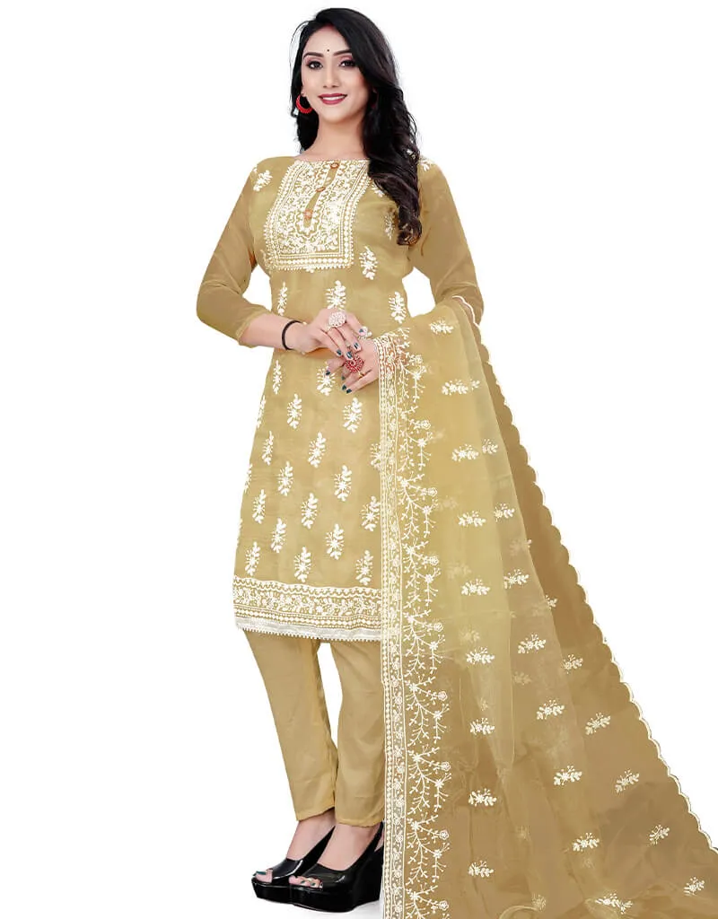 Beige Organza Pant Salwar Suit