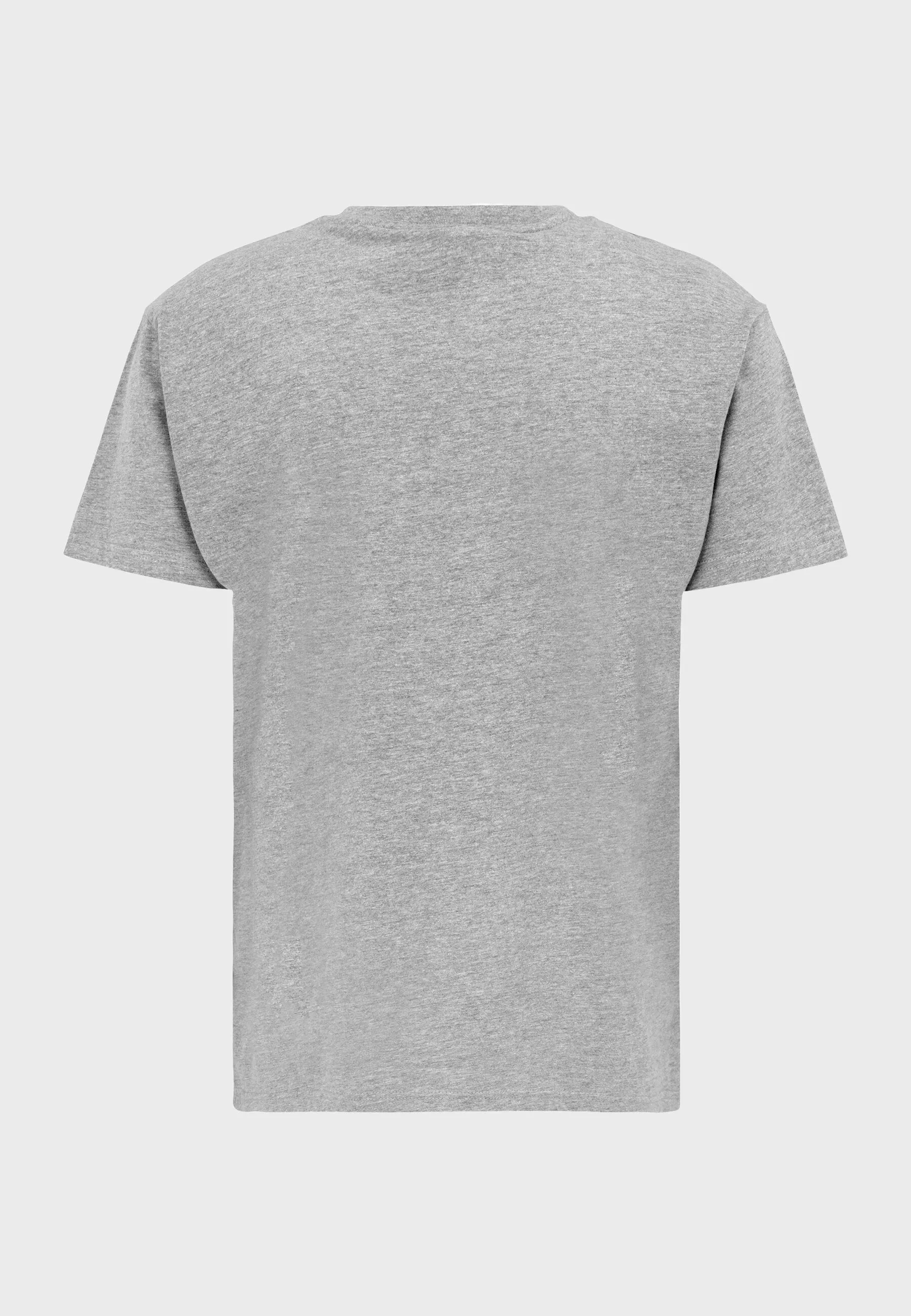 Oldskull Basic Logo T-Shirt Heather Grey